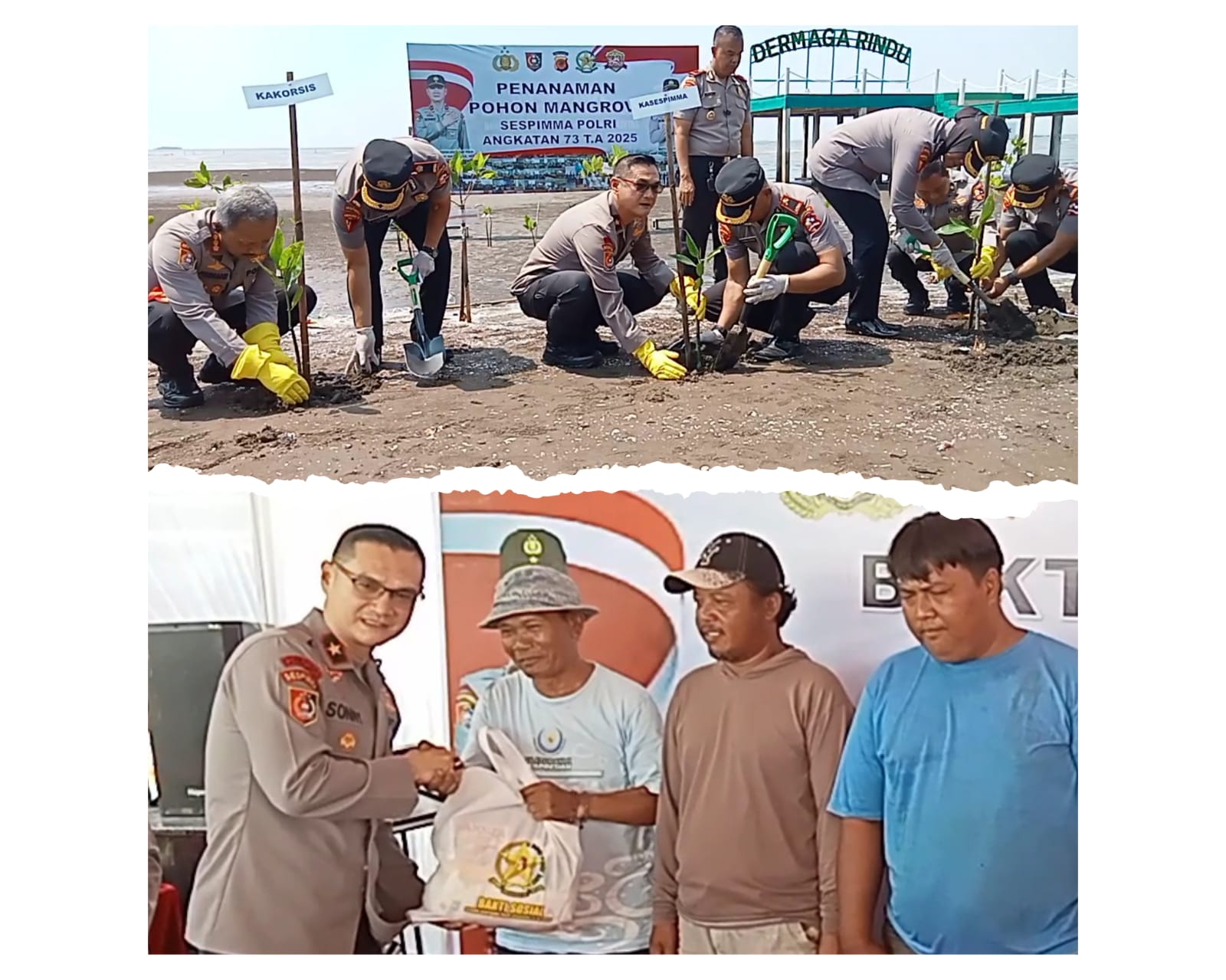 Peduli Lingkungan, Sespimma Polri Tanam Mangrove di Pantai Kejawanan Kota Cirebon