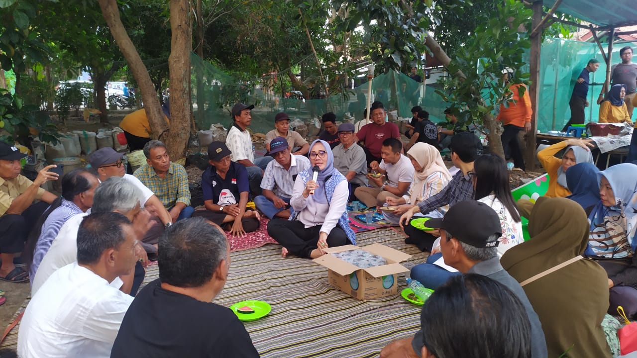 Kampung Mutiara Jadi Urban Farming, Begini Reaksi Eti Herawati