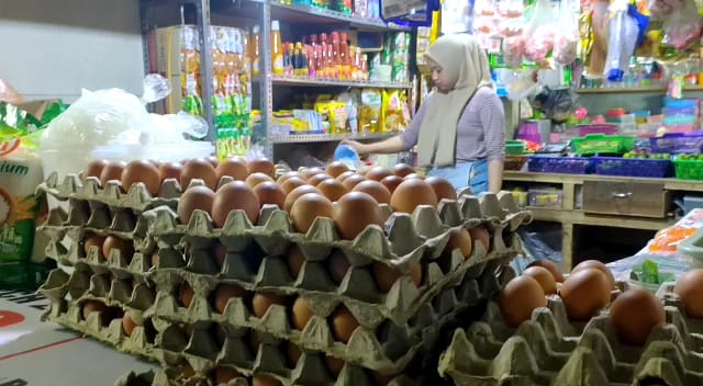 Harga Telur Ayam Semakin Mahal, Pembeli Berkurang