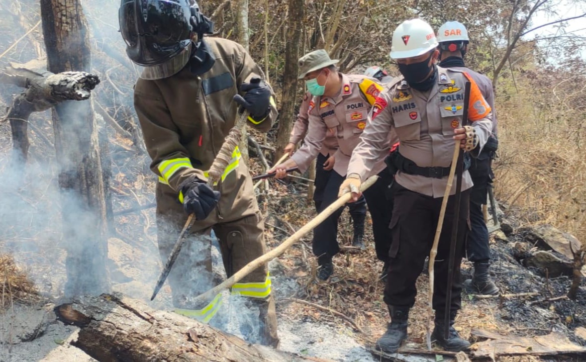 Kebakaran Hutan Gunung Ciremai Terjadi di 8 Blok, Luas Area yang Terbakar Diperkirakan 56,9 Hektare