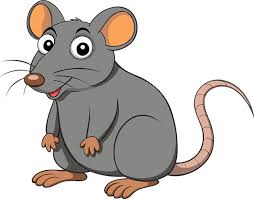 5 Bahan Alami yang Efektif Usir Tikus: Mudah dan Praktis