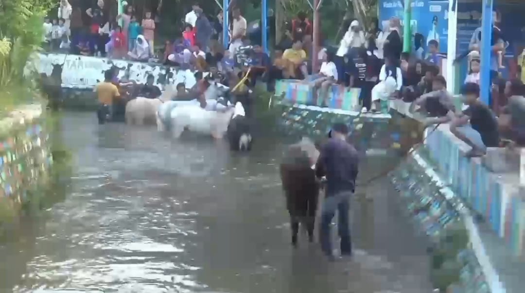 Ritual Kliwon dan Tahun Baru Islam, Memandikan Kuda di Sungai Surakatiga Kuningan