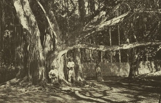 Makam Prabu Siliwangi, di Majalengka atau Kebun Raya Bogor, di Pajajar Ada Pasanggrahan