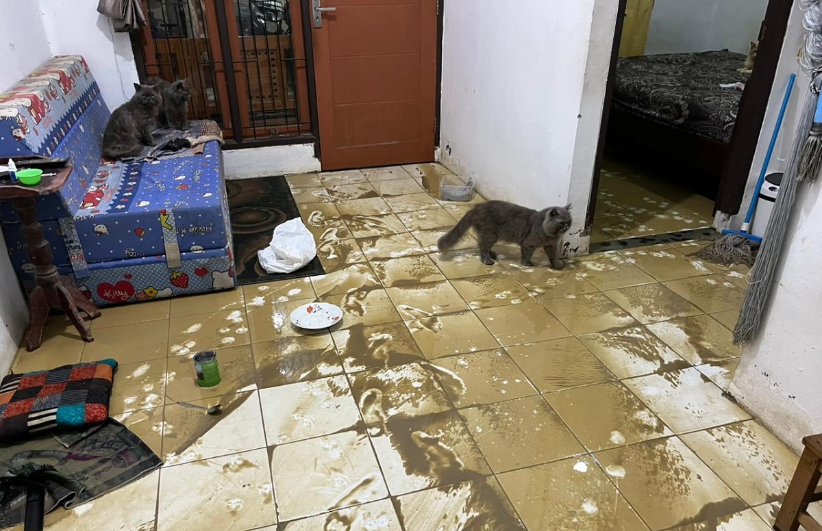 Ratusan Rumah di Mundu Terendam Banjir, Hari Ini Warga Bersih-bersih