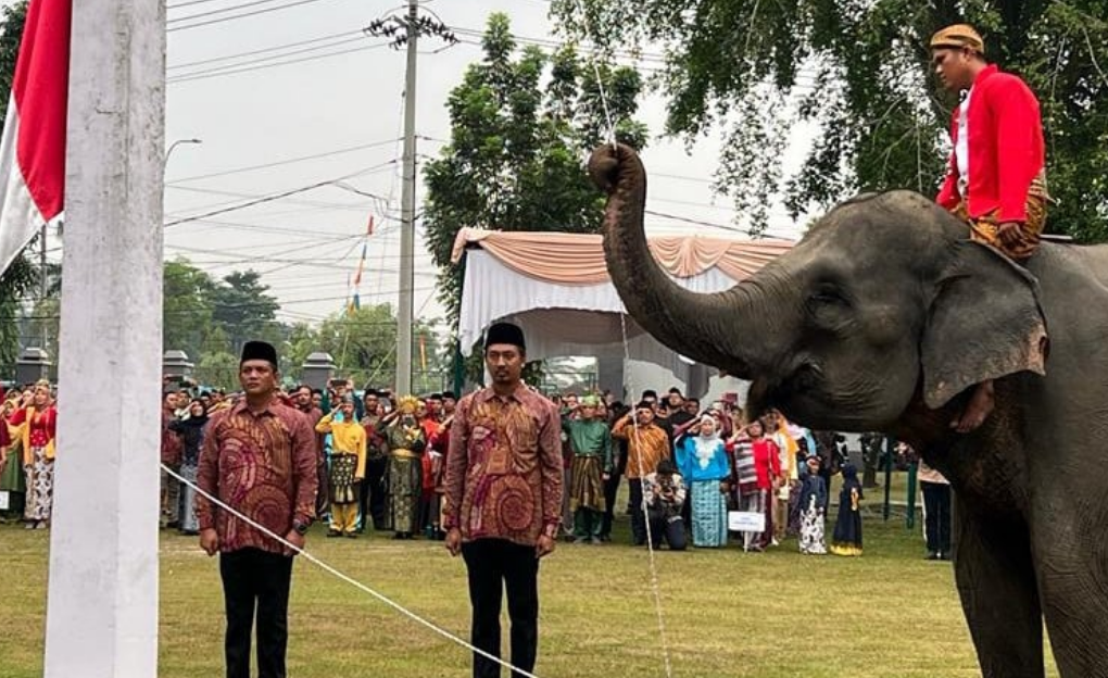Unik, 3 Ekor Gajah Jadi Petugas Pengibar Bendera di Upacara HUT RI ke-78