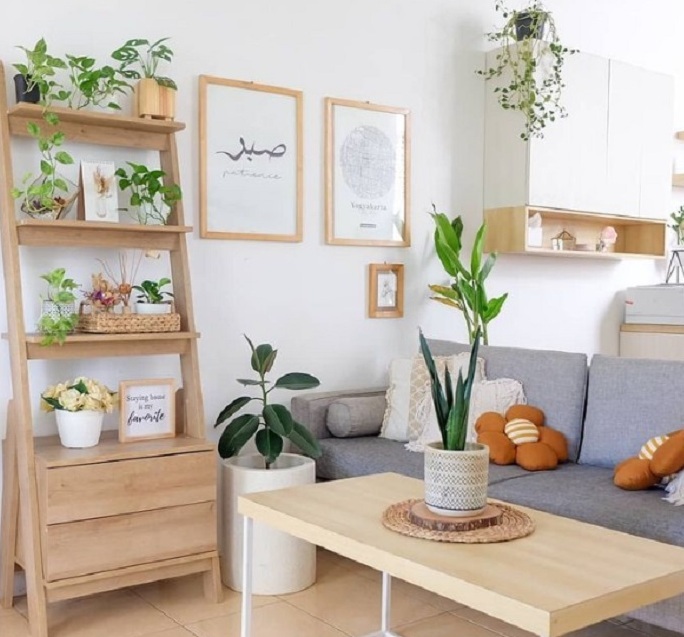 6 Tanaman Indoor Hias Minimalis untuk Kamar dan Ruang Tamu, Cantik serta Mudah Dirawat
