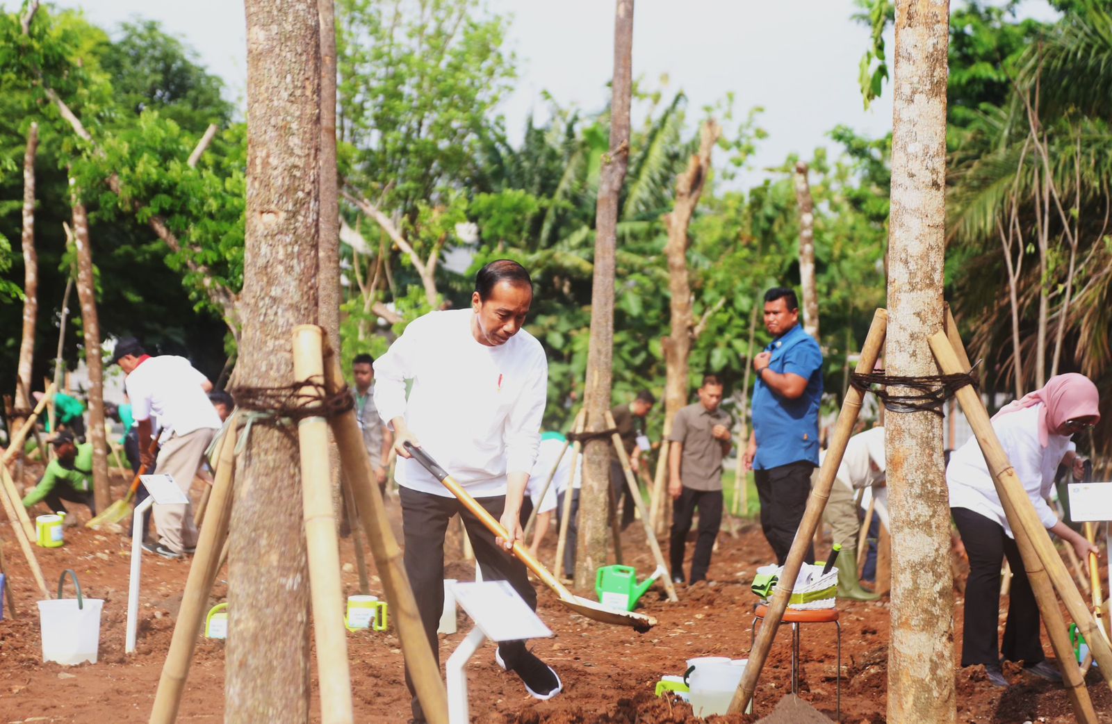 Hari Menenam Pohon Sedunia, Astra Berpartisipasi di Hutan Kota Pulo Gadung Bersama Presiden Jokowi