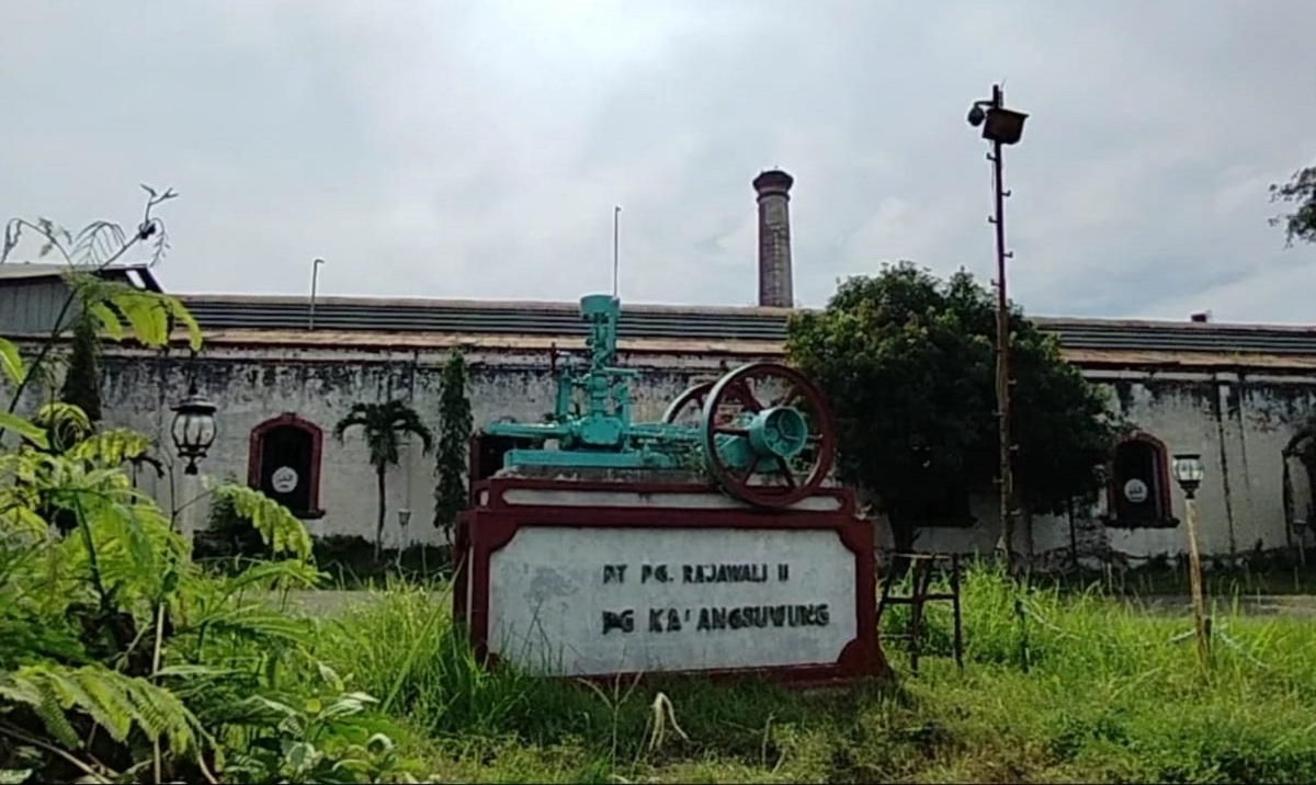 3 Pabrik Gula di Cirebon Sejarah dan Perkembangan Sejak Hindia Belanda, Nomor 1 Terbesar di Asia