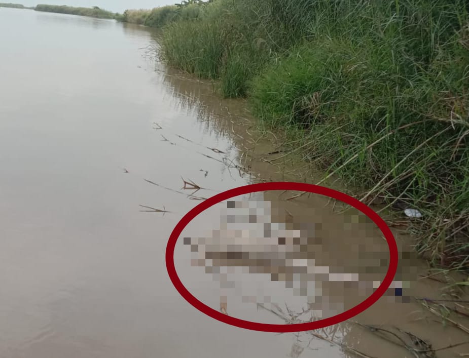 Nelayan Temukan Mayat Tak Dikenal Mengapung di Pinggir Sungai Cisanggarung 