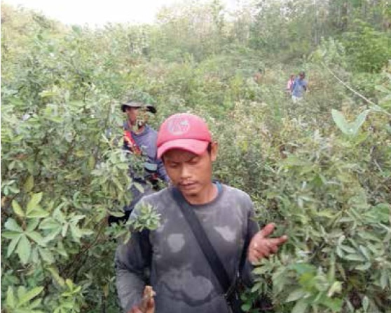 Warga Sumurkondang Cirebon Hilang di Hutan, Sudah 3 Hari Belum Ditemukan
