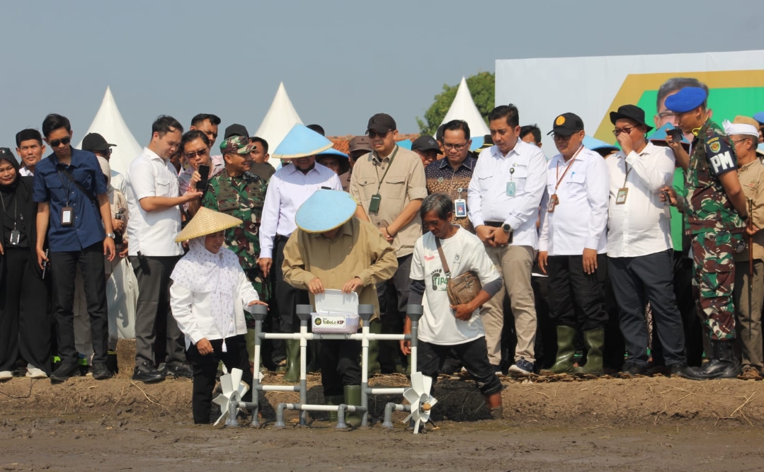 Tanam Padi Metode TIPAK dan Pendidikan KMP Taskin, Upaya Pemerintah Entaskan Kemiskinan