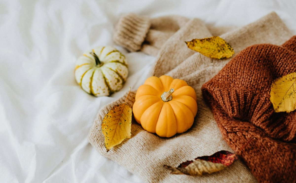 Ternyata Luar Biasa, Ini Dia 5 Manfaat Mengkonsumsi Buah Labu Kuning Bagi Kesehatan Tubuh