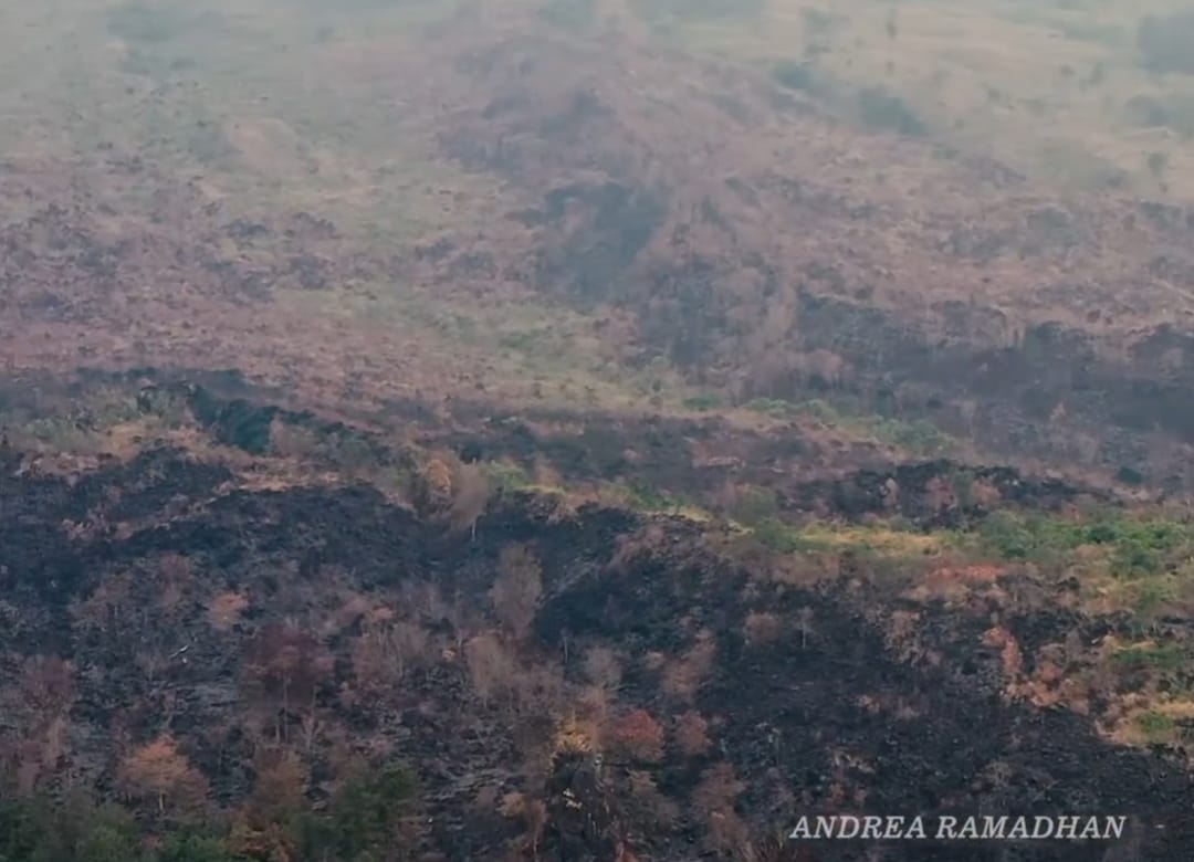 PILU! Penampakan Gunung Ciremai Pasca Kebakaran, 102 Hektare Hangus, Salah Satu yang Terparah