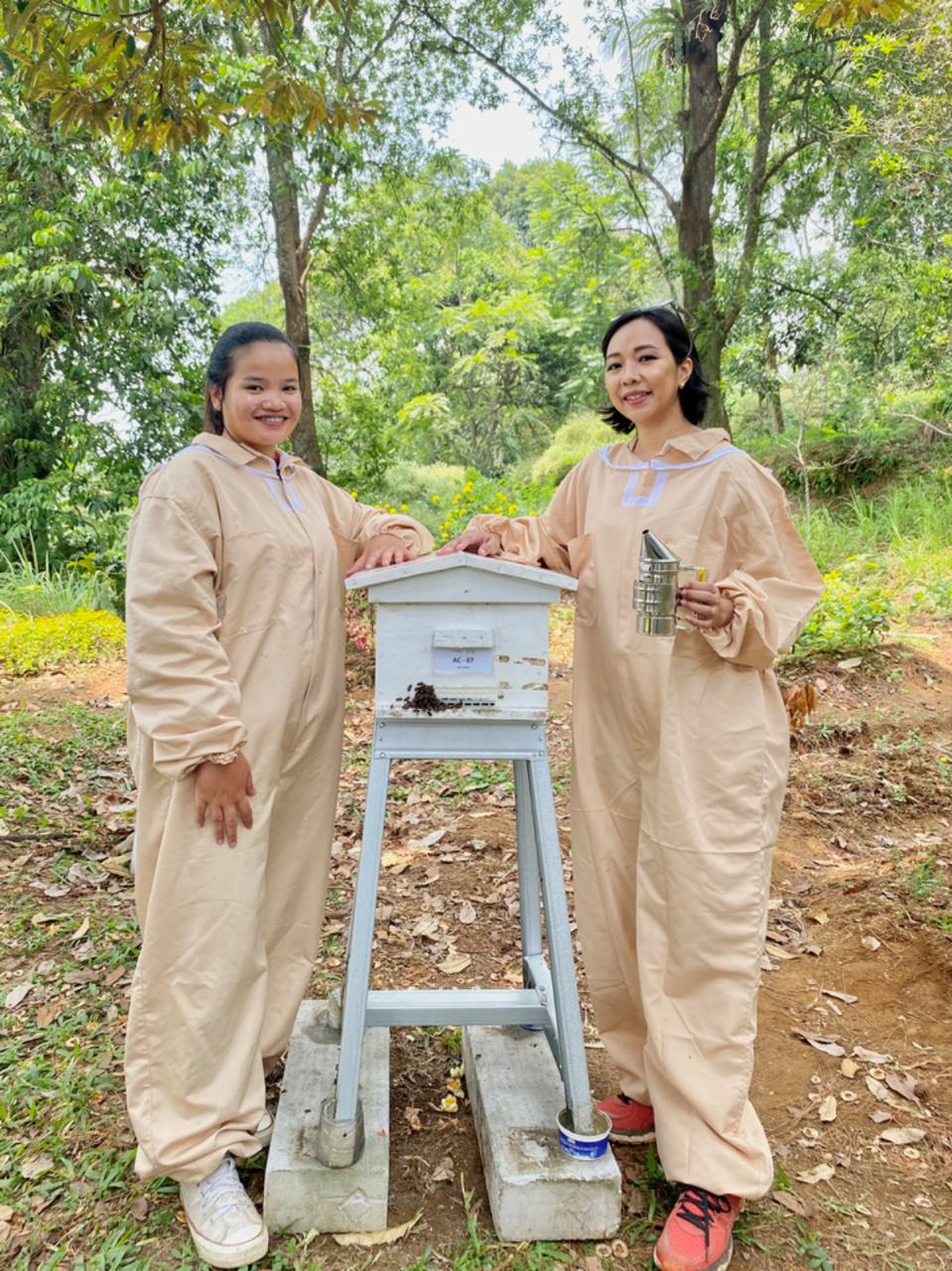 UMKM Madu Lokal Naik Kelas! Tembus Pasar Global Berkat Dukungan BRI