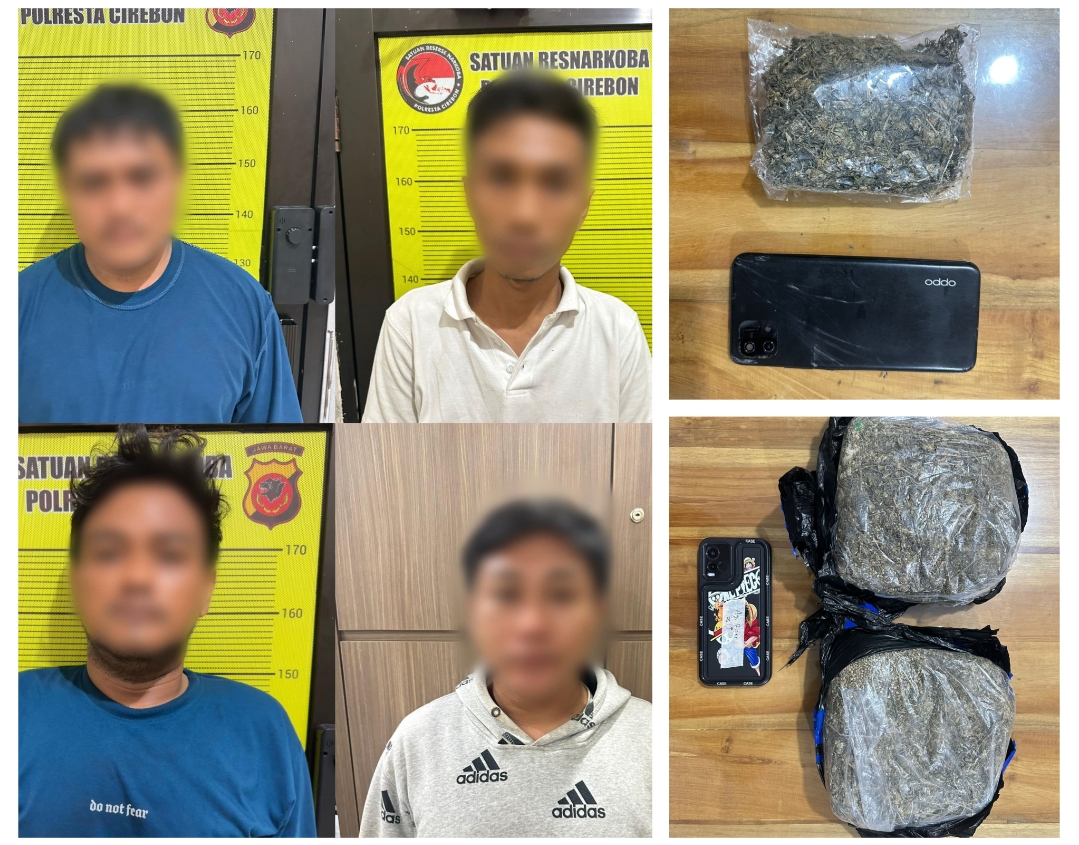 Empat Tersangka Kasus Peredaran Ganja Diamankan Satresnarkoba Polresta Cirebon 
