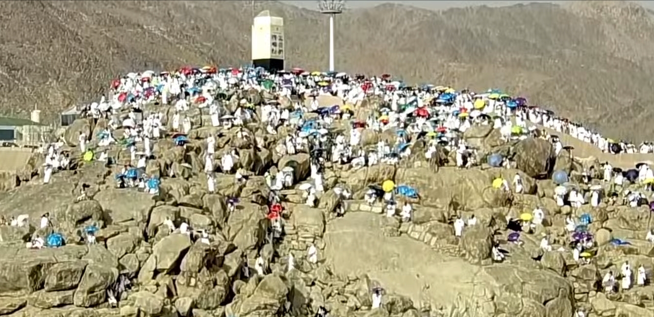 Puncak Haji 2026 di Arafah, Jemaah dari Seluruh Dunia Panjatkan Doa Pengampunan