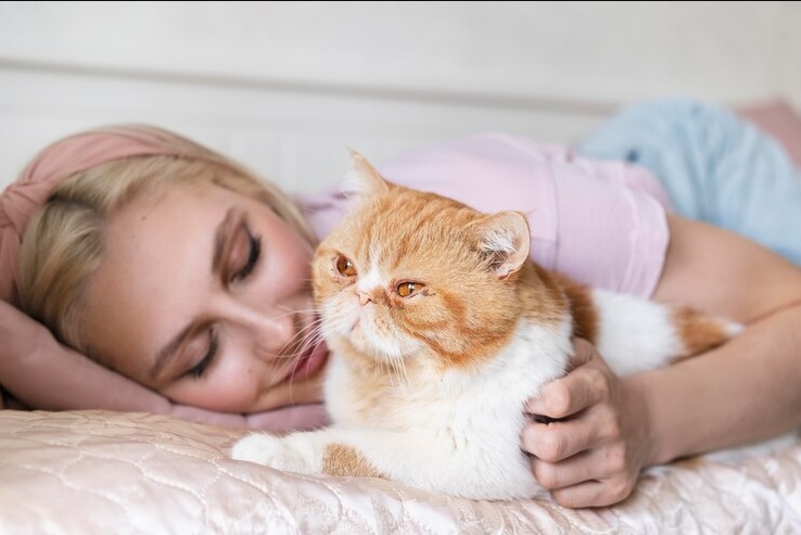 4 Bahaya Ini Akan Terjadi Apabia Anda Terlalu Sering Tidur Bersama Kucing Peliharaan Anda 