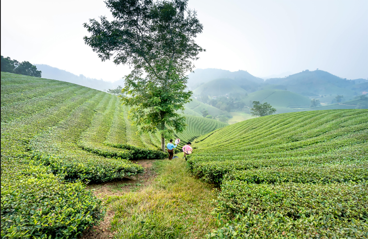 Itinerary 2 Hari 1 Malam Keliling Wisata Majalengka Lengkap dengan Biayanya! Bisa Kemana Aja Ya?