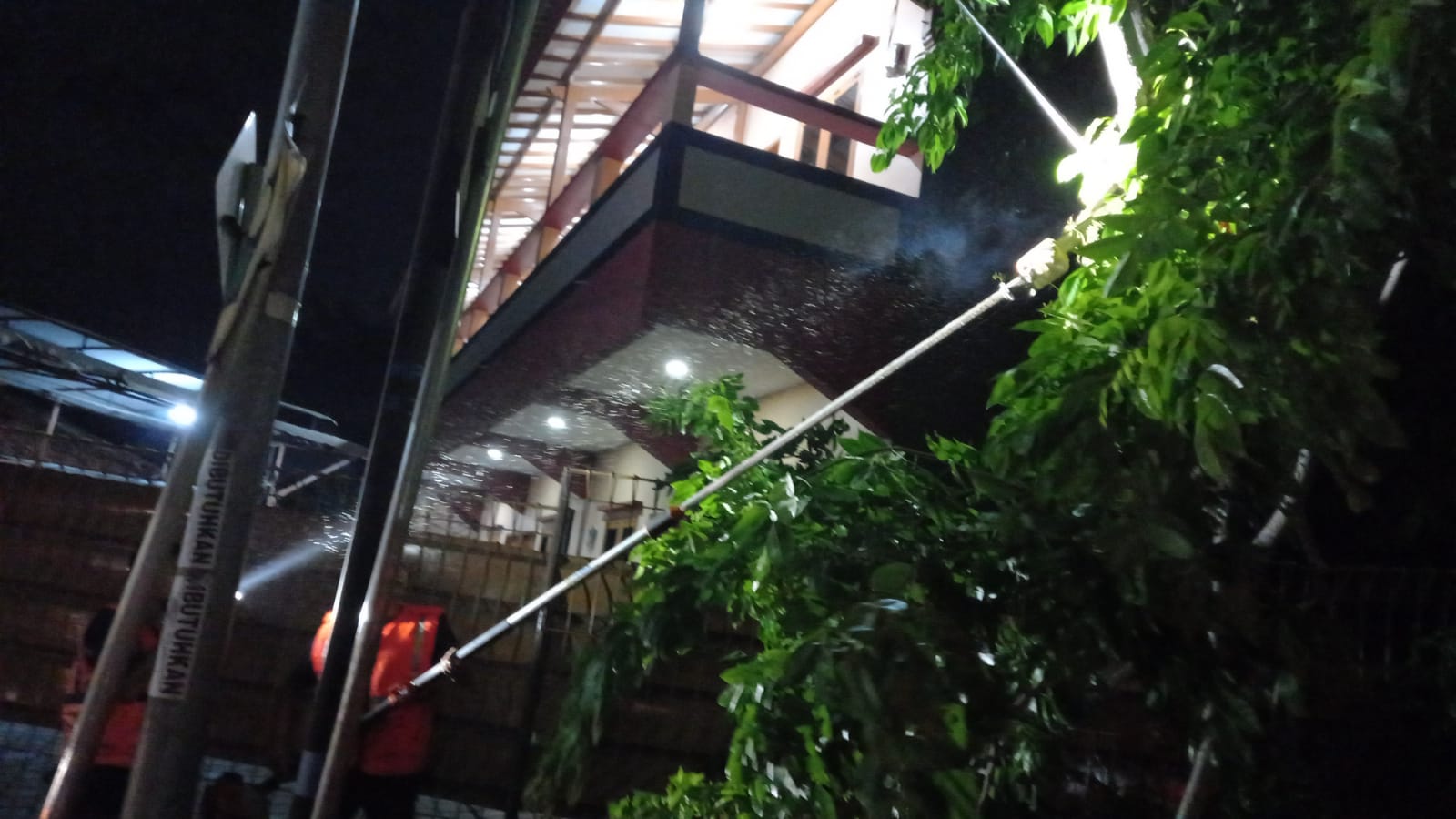 Pohon Tumbang di Jalan Slamet Riyadi Kesenden Kota Cirebon, BPBD: Tidak Ada Korban