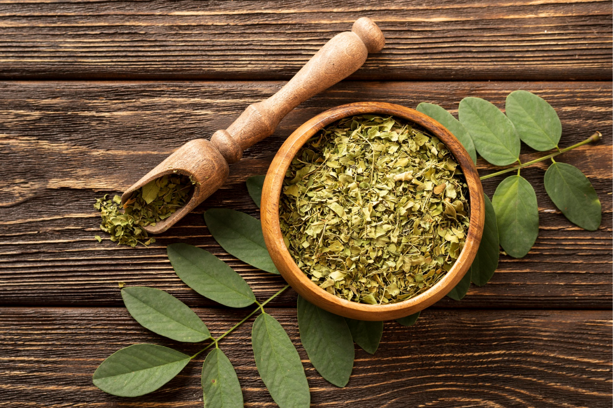 4 Manfaat Daun Kelor yang Jarang Diketahui, Herbal Alami Kaya Nutrisi