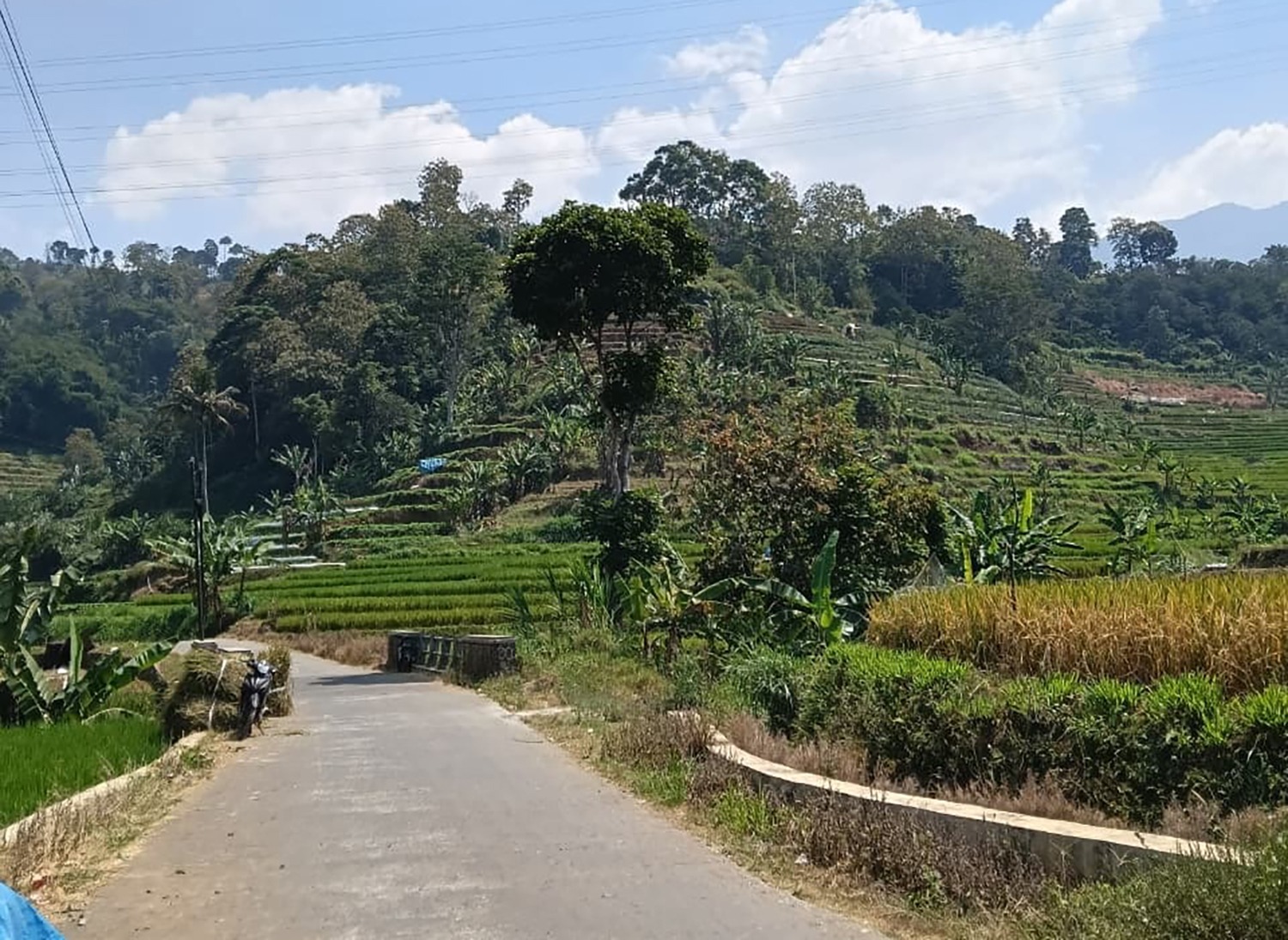 Bukan Lembang, Ini 5 Kecamatan di Kuningan yang Punya Udara Paling Dingin, Suhu Bisa 16 Derajat Celsius