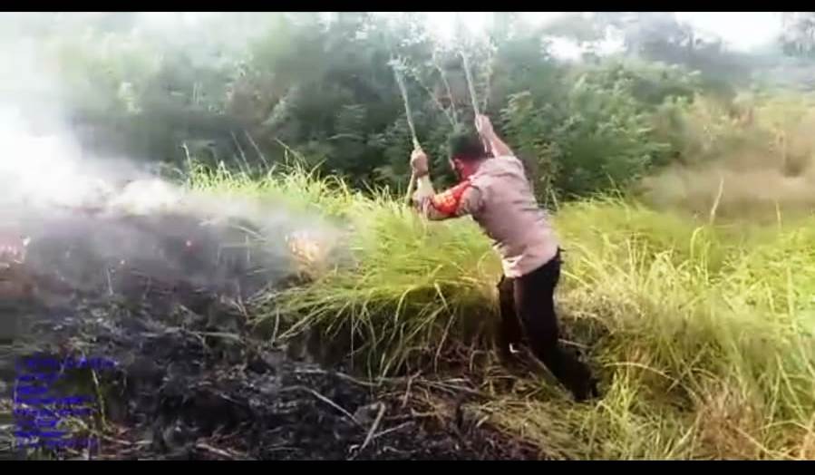 Kebakaran Lahan di Gronggong Kabupaten Cirebon, Kapolsek Beber Sempat Terjatuh saat Pemadaman