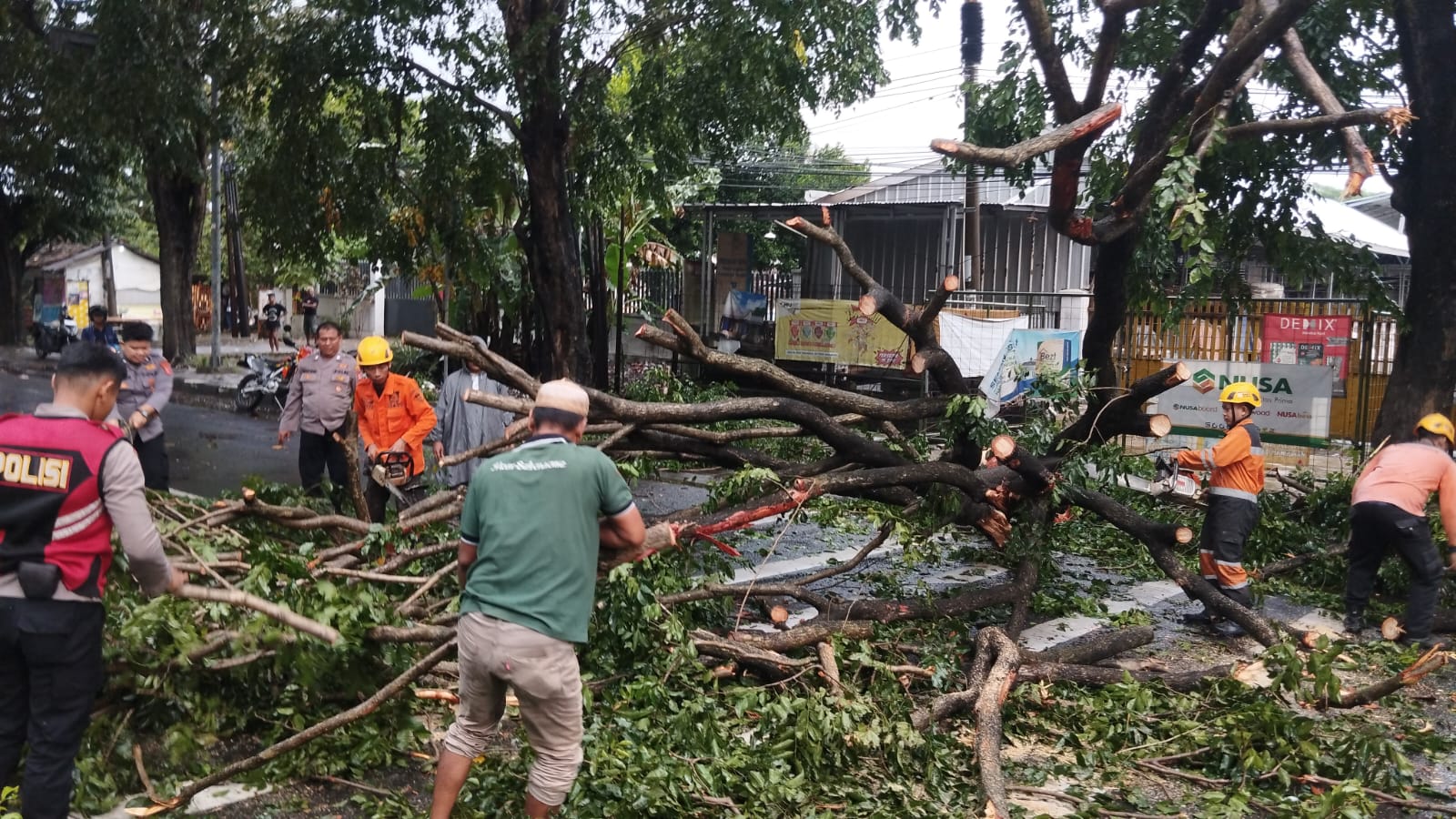 Pohon Tumbang di Cirebon Timpa Mobil, Jalan Ahmad Yani Sempat Lumpuh