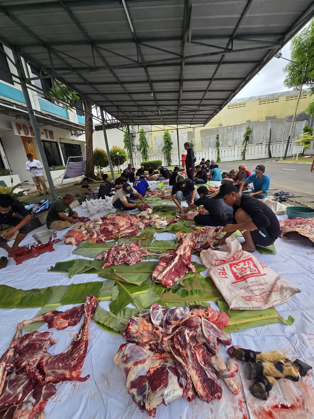 PLN UP3 Cirebon Laksanakan Ibadah Qurban: Wujud Syukur, Kepedulian, Toleransi Sosial di Hari Raya Idul Adha