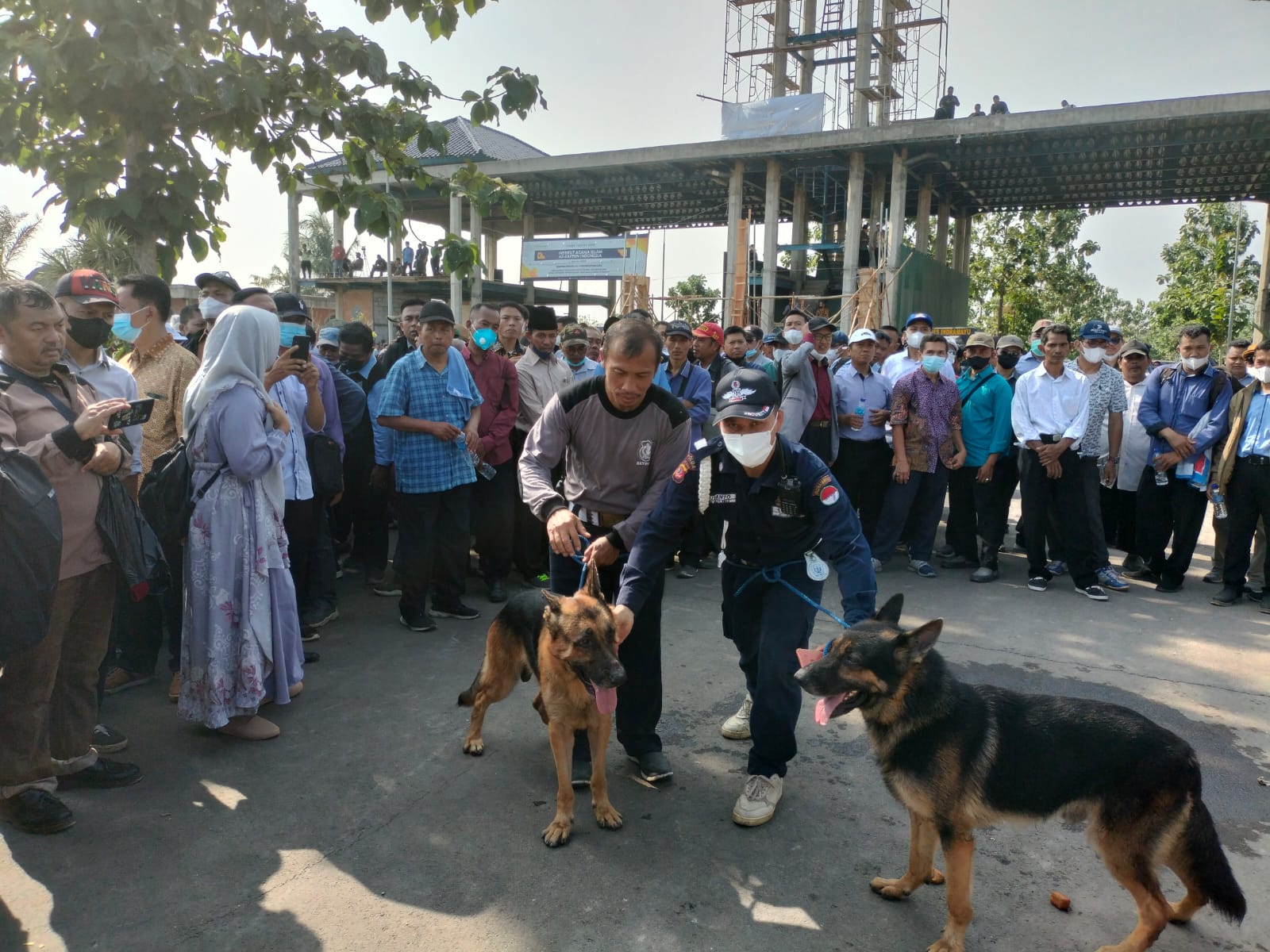 Pasukan Anjing Herder Mahad Al Zaytun, Pesantren Kok Punya Anjing?