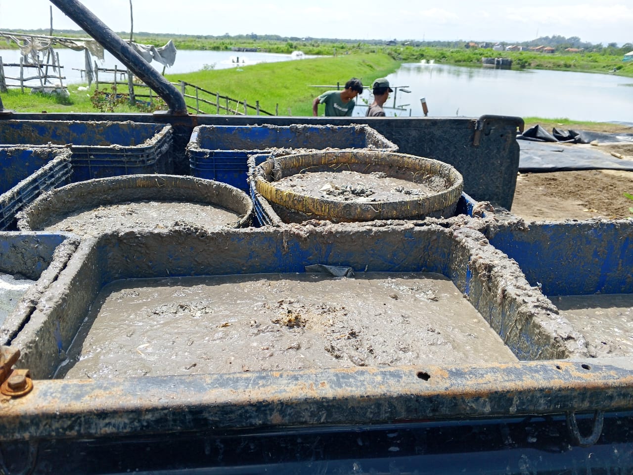 Timbulkan Bau Busuk, Warga Kalisapu Gunung Jati Tolak Keberadaan Tempat Pengolahan Pakan Ternak