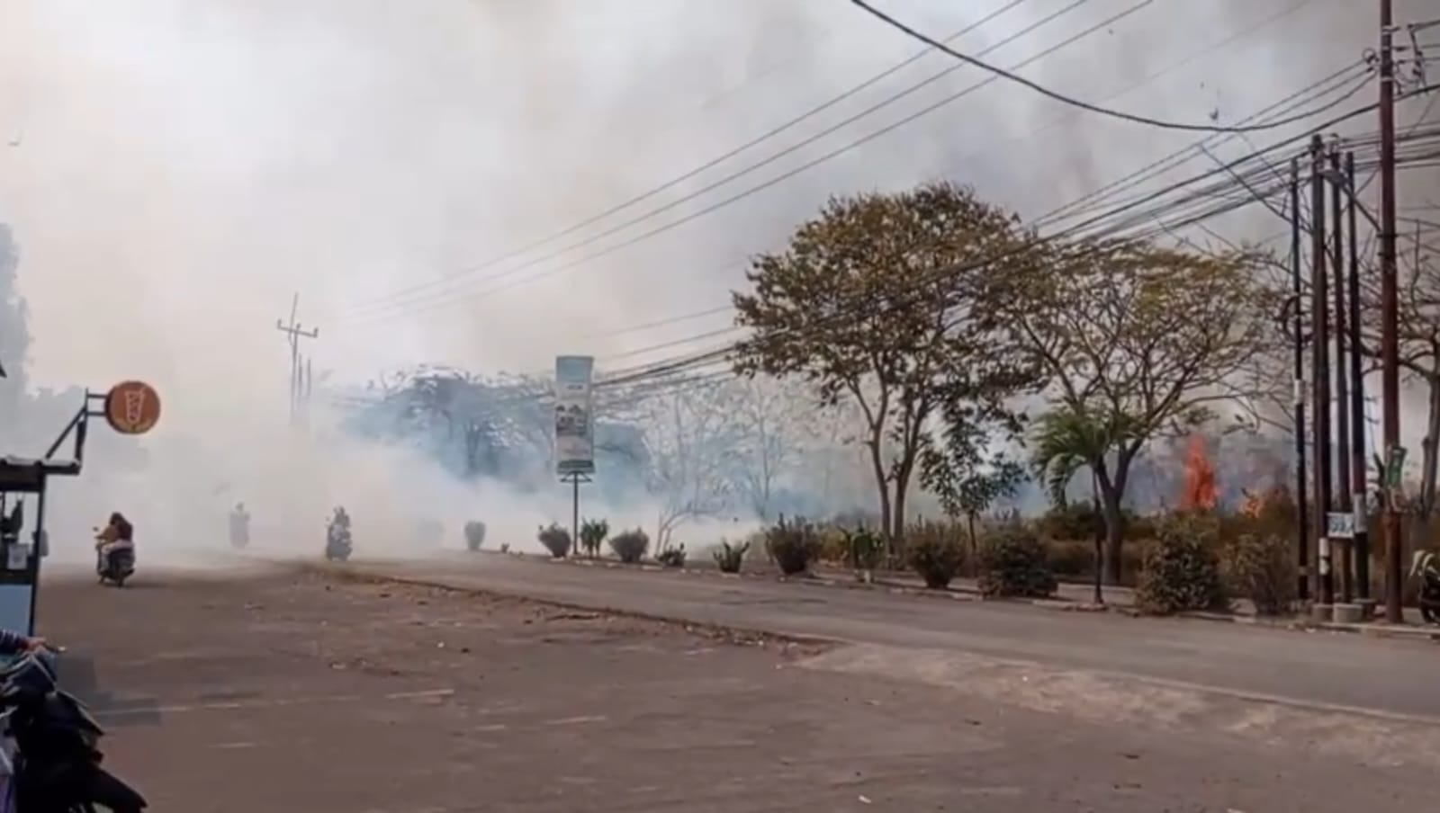 Lahan Semak Seluas 1 Hektare di Pamengkang Cirebon Terbakar, Diduga Berawal dari Pembakaran Sampah