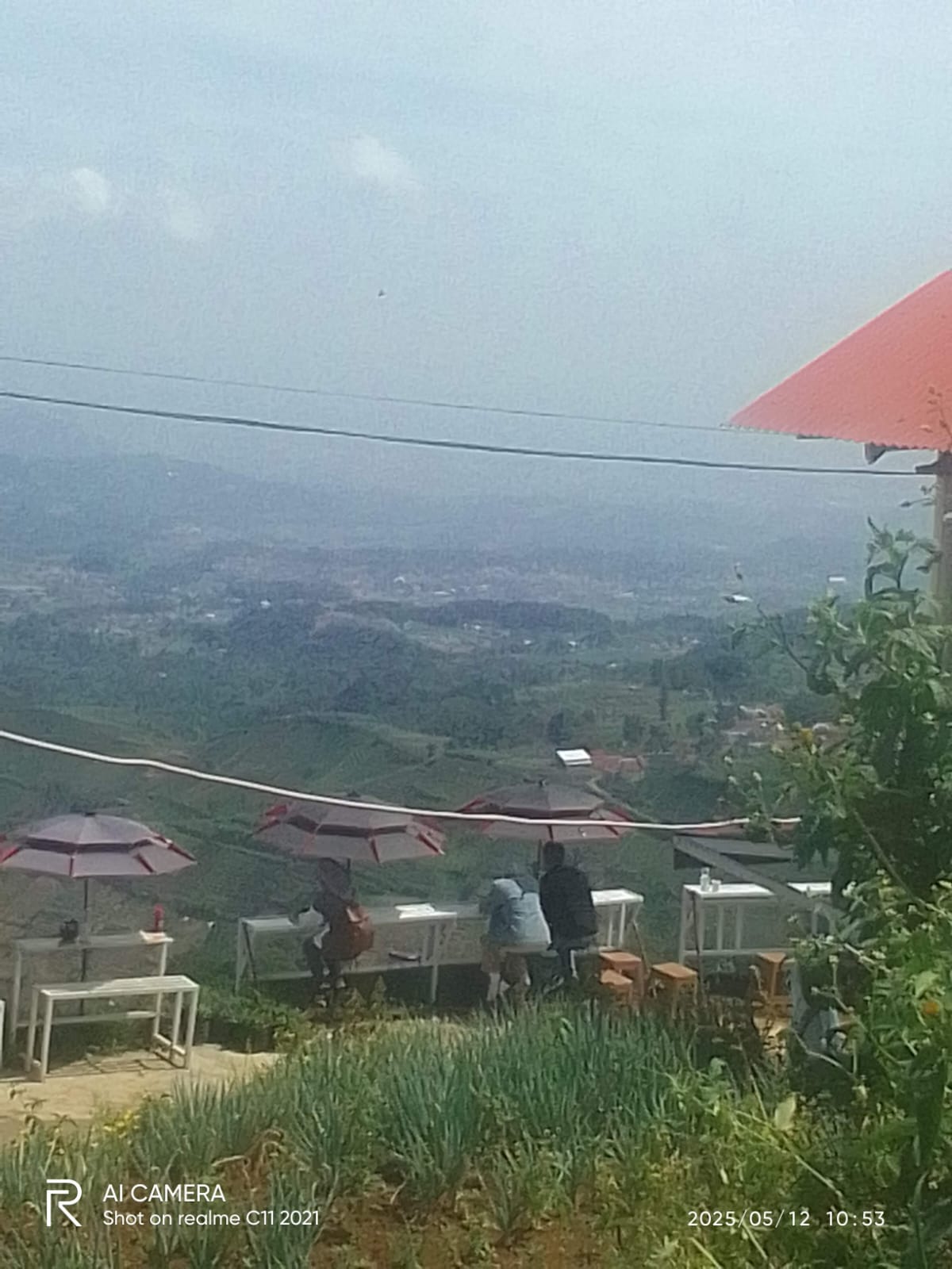 Terasering Panyaweuyan, Wisata di Majalengka yang Menawarkan Hijau  Tanaman yang Indah!