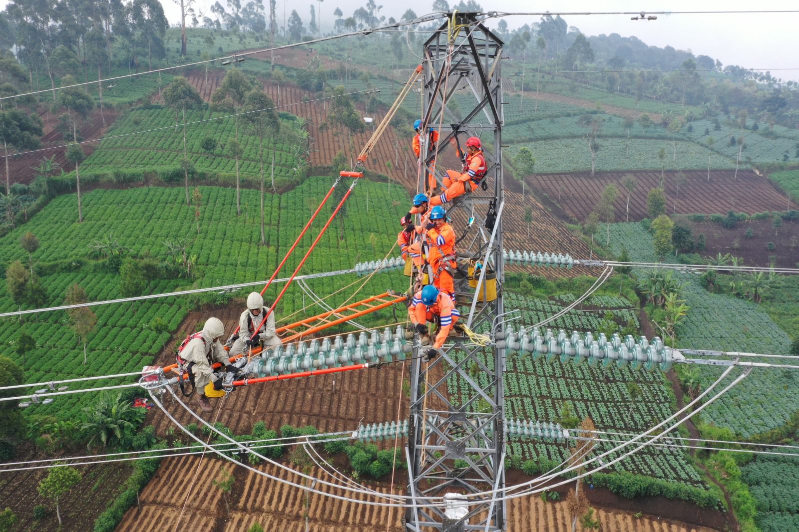 Peningkatan Pendapatan Dorong PLN Masuk Fortune Global 500