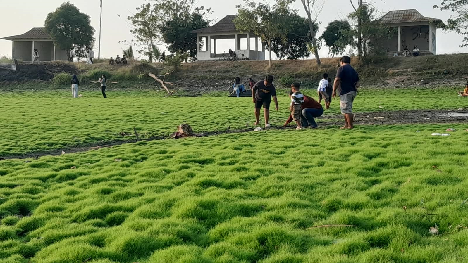 Air Embung Wanakaya Surut, Dasar Embung Jadi Spot Menikmati Sunset