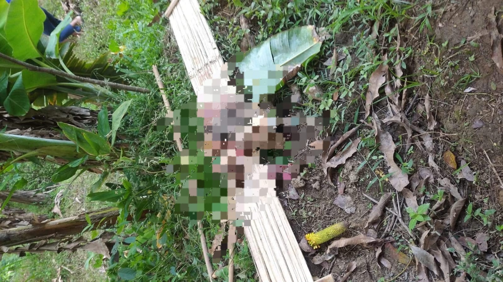 Ternak Kambing di Kuningan Mati, Video Penampakan Tambah Resah Warga