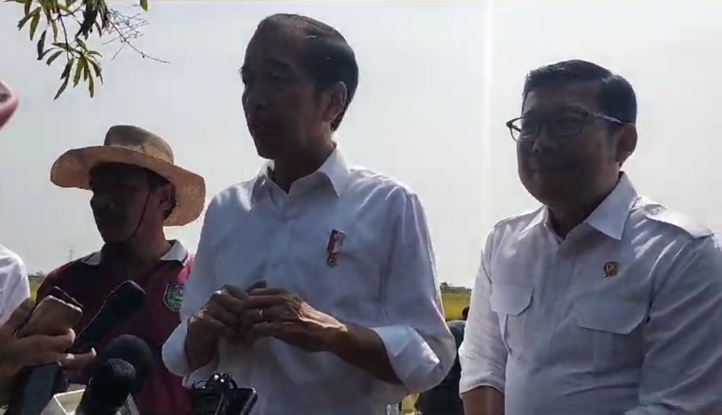 Ini Alasan Presiden Jokowi Ikut Panen di Indramayu, Terkait El Nino, Simak Kata-katanya