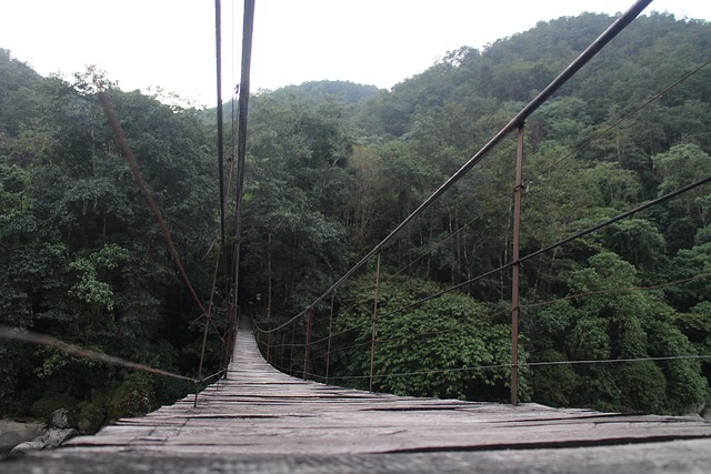 Ratusan Nyawa Melayang dalam Tragedi Jembatan Putus di India