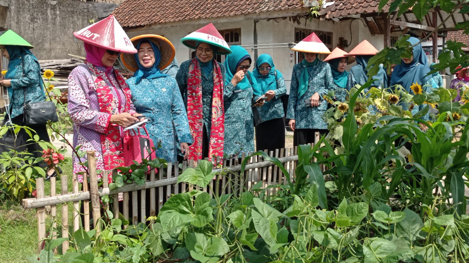 TP PKK Desa Wanayasa Wakili Kabupaten Cirebon untuk Lomba Pemanfaatan Pekarangan Tingkat Jabar