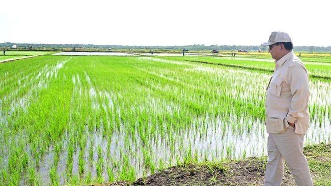 Swasembada Pangan Jadi Modal Kemerdekaan Indonesia Hadapi Gejolak Global