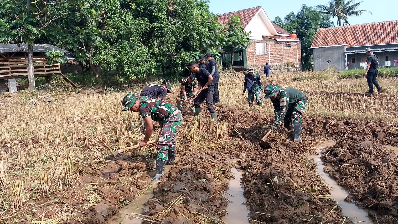 Tingkatkan Ketahanan Pangan di Desa Kubang, Satgas TMMD Bantu Petani Kelola Sawah