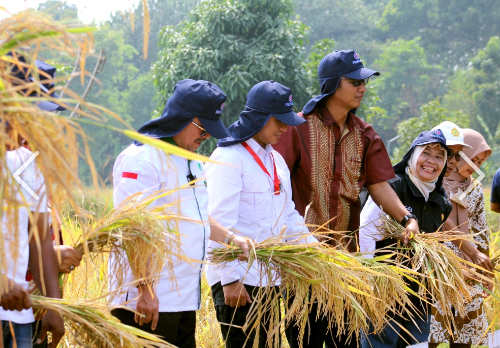 Jaga Lahan Pertanian, Bupati Imron Sukses Pertahankan Surplus Beras Tahun Ini