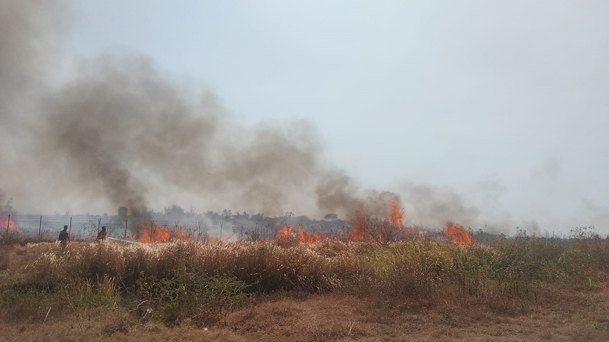 WADUH! 3 Hektare Lahan Bandara Kertajati Kebakaran, Penyebab Belum Diketahui, Petugas Masih Berusaha