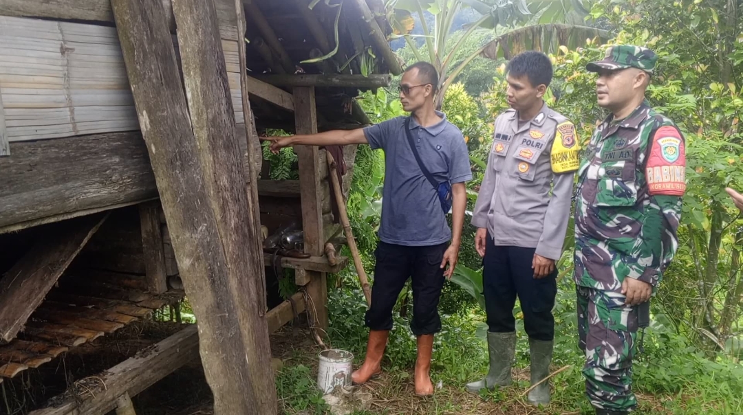 Cegah Serangan Hewan Buas, Warga Cikondang Kuningan Berlalukan Kebijakan Ini