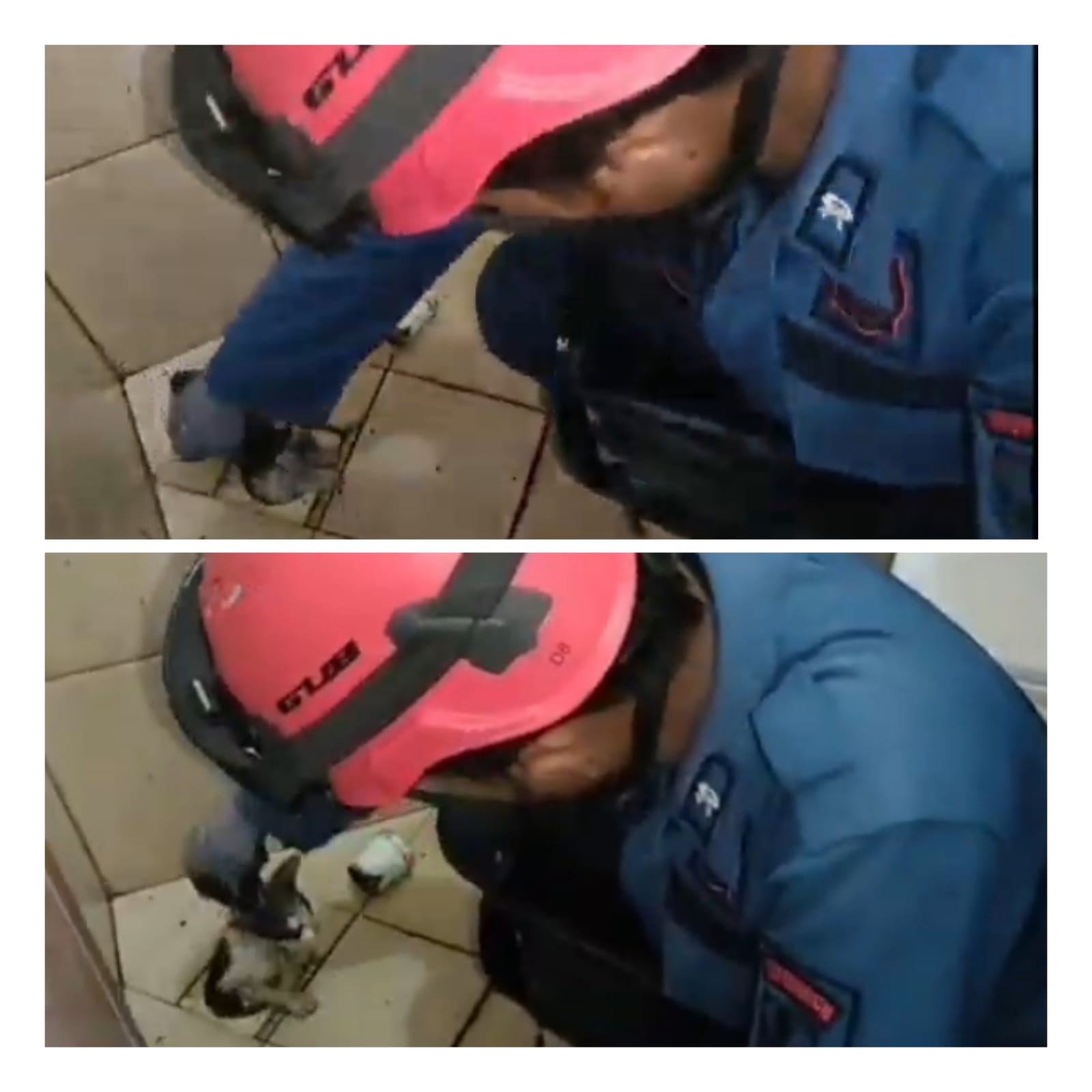 Damkar Cirebon Evakuasi Anak Kucing Terjepit di Saluran Air Kamar Mandi