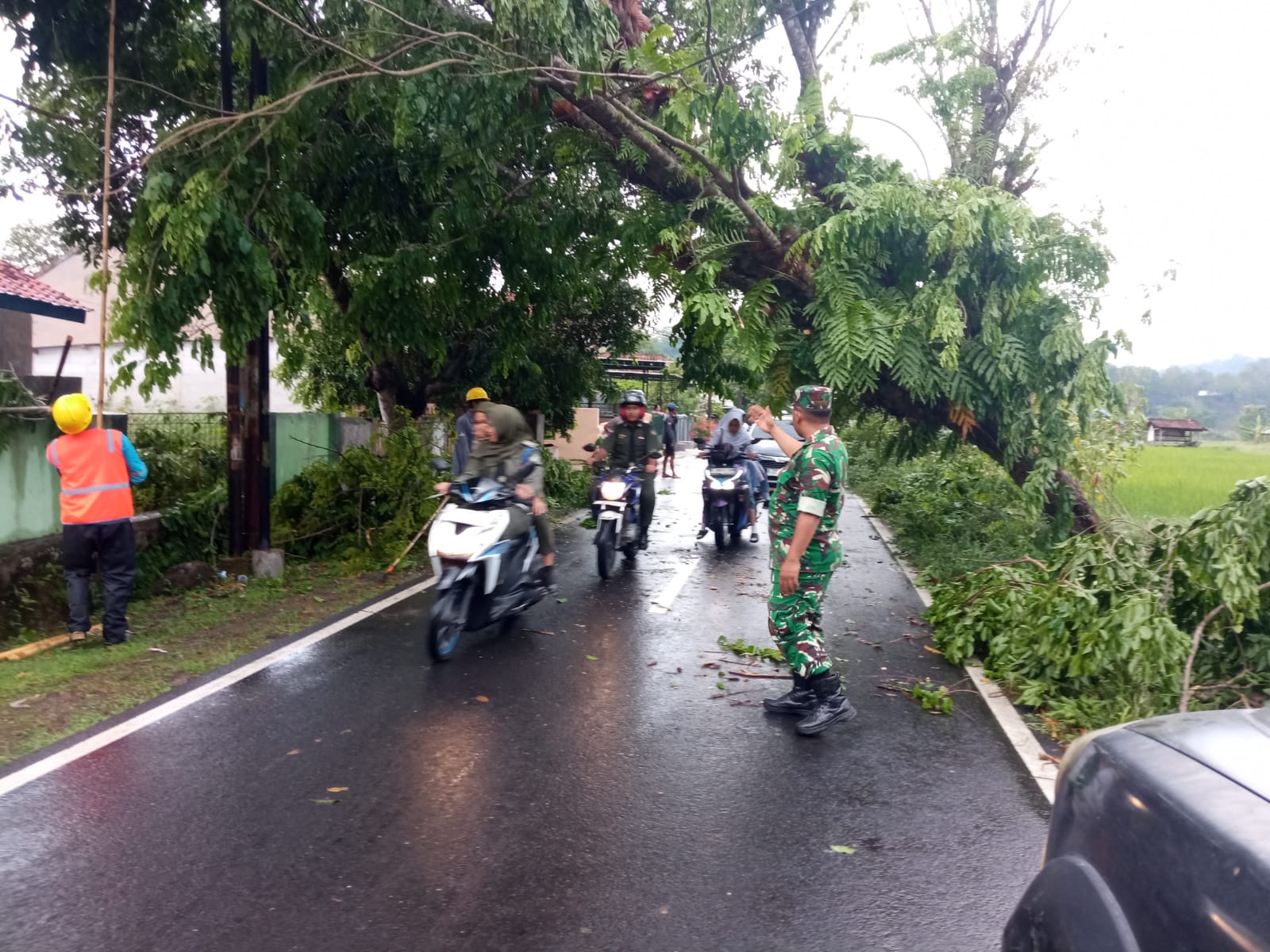 Hujan Lebat, Pohon Tumbang Halangi Jalan Luragung-Ciwaru Kuningan