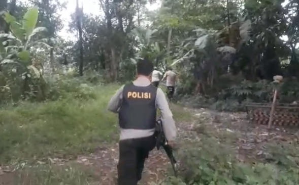 20 Pelaku Judi Sabung Ayam Kabur saat Polisi Datang, Ayam dan Sepeda Motor Diamankan