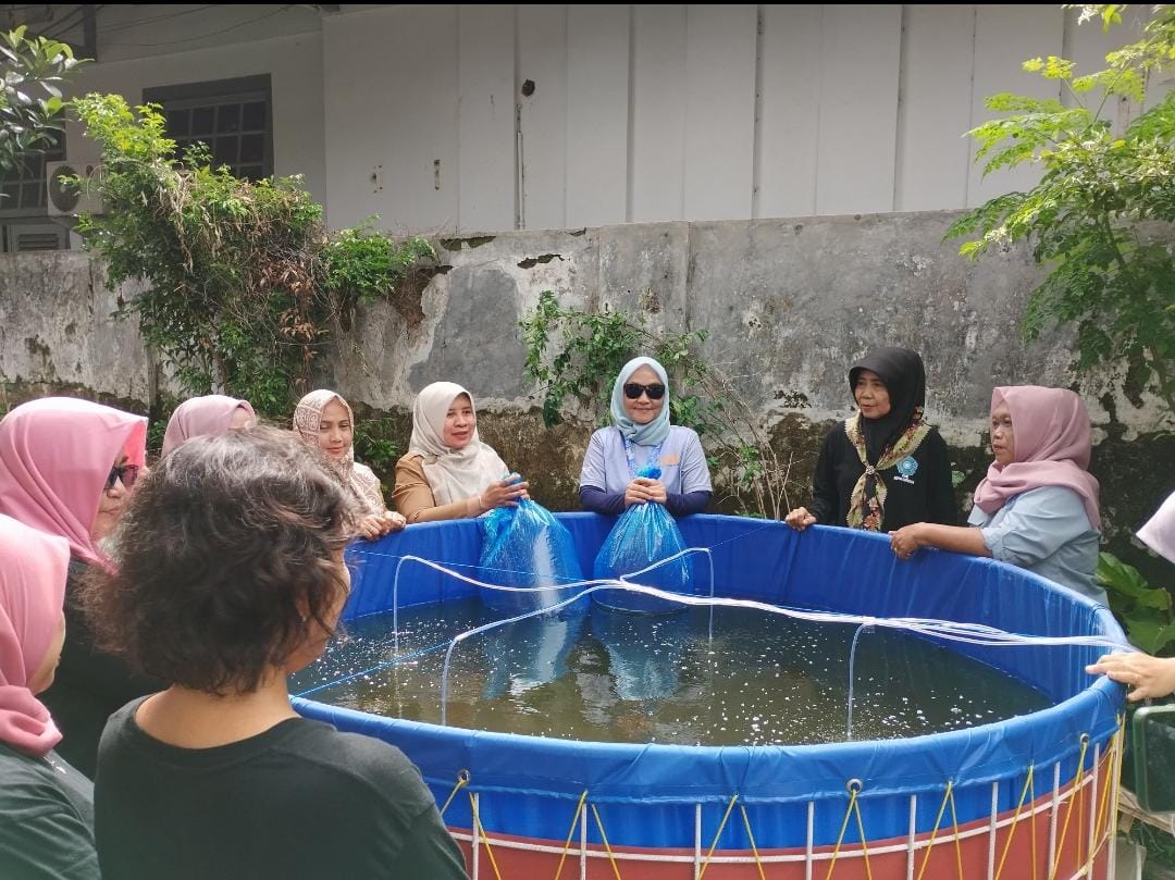 DKP3 Kota Cirebon Kembangkan Budidaya Udang Vaname dengan Metode Kolam Bundar