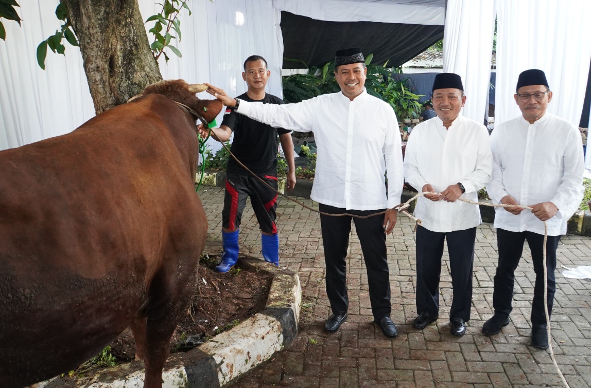 BSI Distribusikan 15.272 Ekor Hewan Kurban ke Seluruh Indonesia