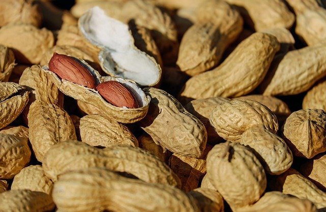 8 Manfaat Kacang Tanah, Baik untuk mencegah Penyakit Diabetes dan Jantung