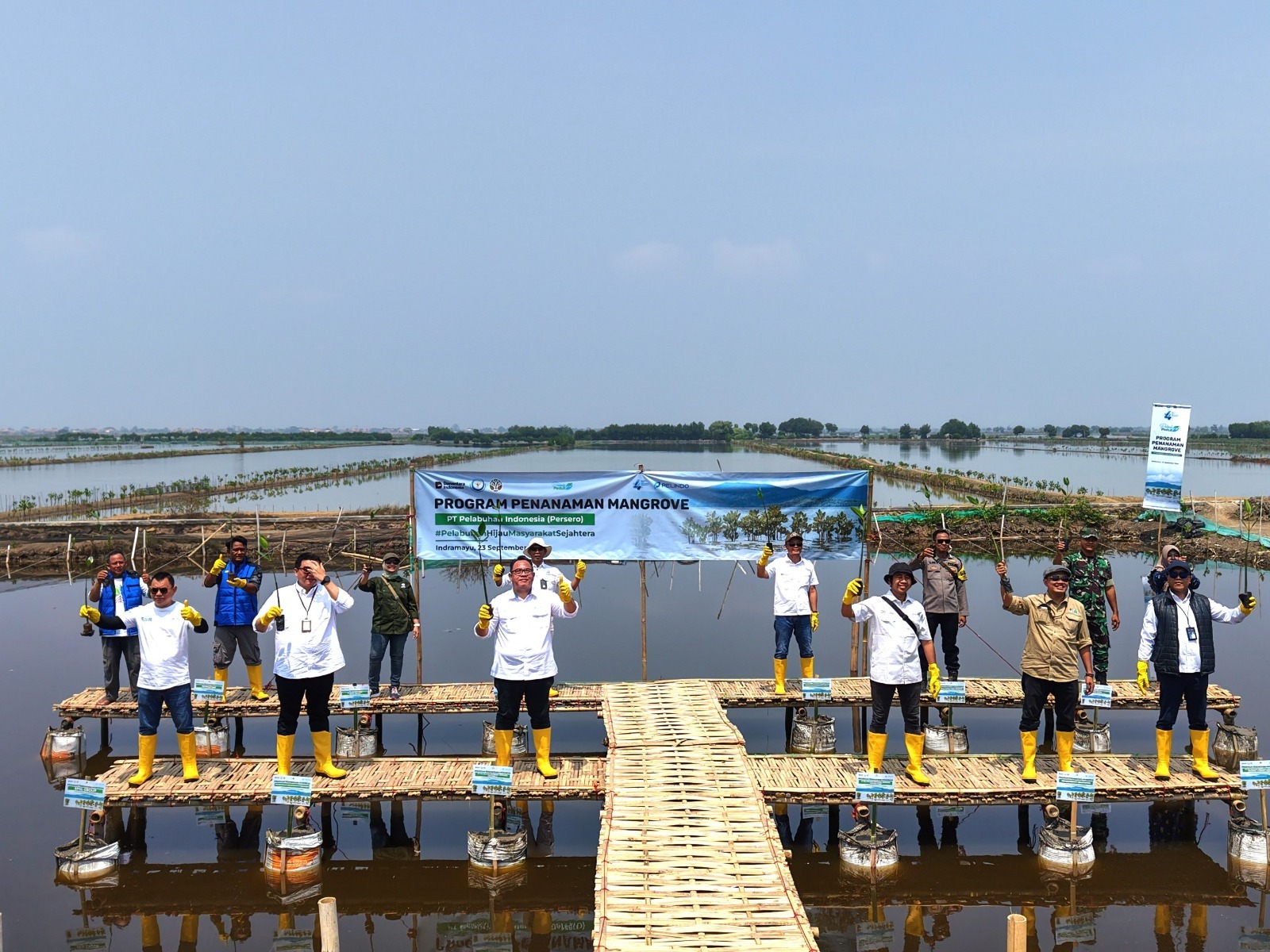 Peringati Pelindo Day, Pelindo Group Kolaborasi Tanam 53.280 Bibit Pohon Mangrove di Indramayu